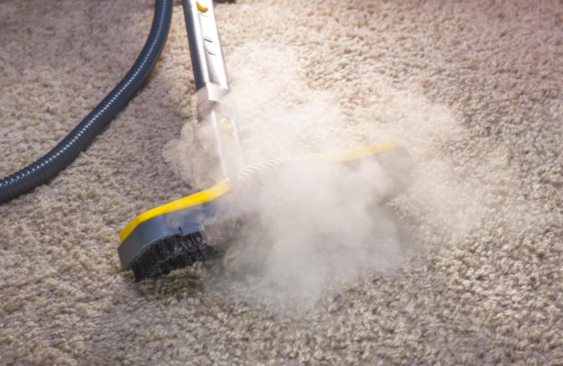 Carpet steam cleaning 1