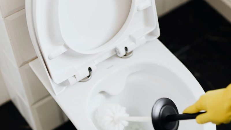 Toilet being cleaned