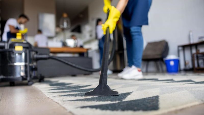 person doing carpet cleaning