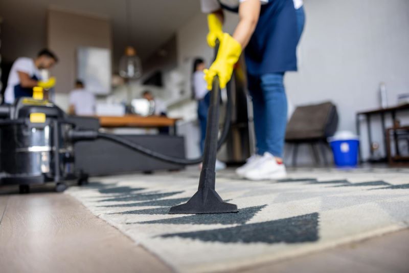 person doing carpet cleaning