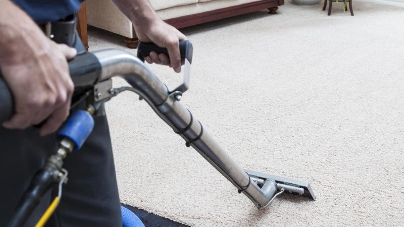 person doing carpet cleaning